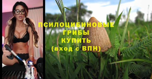 МДМА Алексеевка