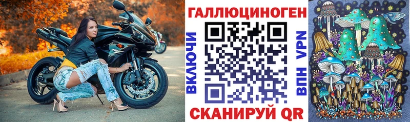Галлюциногенные грибы Psilocybe  Купить где  Славск 