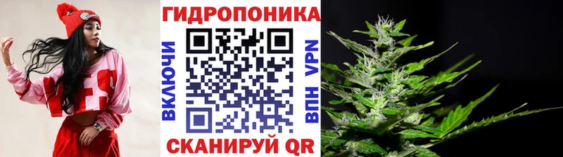 Купить  Славск  Бошки марихуана индика 